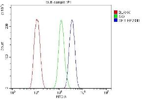 Flow Cytometry analysis of THP-1 cells using anti-GFI1 antibody (ABIN7599380). (GFI1 anticorps  (AA 1-422))