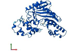AlphaFold protein structure predicition of Human Recombinant CKM Protein, UniprotID P06732