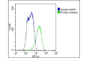 Overlay histogram showing HepG2 cells stained with (ABIN390068 and ABIN2840592)(green line).