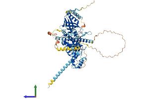 AlphaFold protein structure predicition of Mouse Recombinant Eps8l1 Protein, UniprotID Q8R5F8