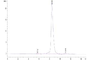 The purity of Biotinylated Human CD3E&CD3D is greater than 95 % as determined by SEC-HPLC.