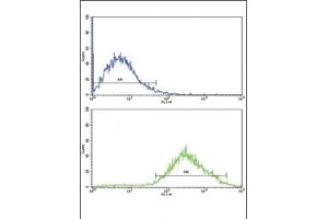 Flow cytometric analysis of Jurkat cells using DDR2 antibody (bottom histogram) compared to a negative control (top histogram).