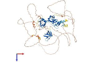 AlphaFold protein structure predicition of Human Recombinant SH3RF2 Protein, UniprotID Q8TEC5
