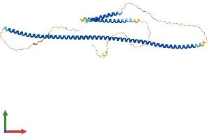 AlphaFold protein structure predicition of Mouse Recombinant Cep57l1 Protein, UniprotID Q8VDS7
