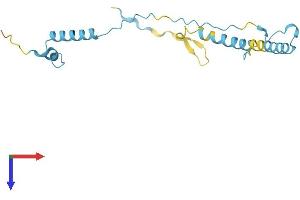 AlphaFold protein structure predicition of Human Recombinant MPHOSPH6 Protein, UniprotID Q99547
