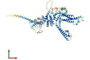 AlphaFold protein structure predicition of Mouse Recombinant Trpc7 Protein, UniprotID Q9WVC5
