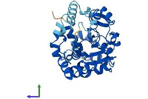 AlphaFold protein structure predicition of Mouse Recombinant Sult6b1 Protein, UniprotID P0CC03