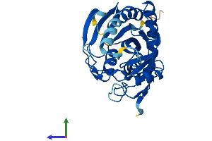AlphaFold protein structure predicition of Human Recombinant MTAP Protein, UniprotID Q13126