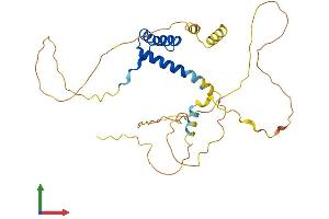 AlphaFold protein structure predicition of Mouse Recombinant Pitx2 Protein, UniprotID P97474
