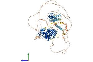 AlphaFold protein structure predicition of Human Recombinant BUB1 Protein, UniprotID O43683