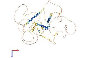 AlphaFold protein structure predicition of Human Recombinant SLAIN2 Protein, UniprotID Q9P270