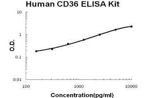 Human CD36/SR-B3 Accusignal ELISA Kit Human CD36/SR-B3 AccuSignal ELISA Kit standard curve. (CD36 (SR-B3) Kit ELISA)