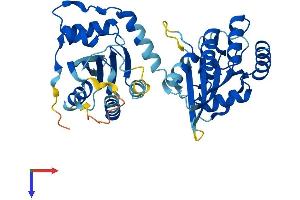 AlphaFold protein structure predicition of Human Recombinant APOBEC3D Protein, UniprotID Q96AK3