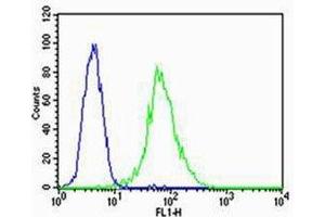 Flow cytometric analysis of HUVEC cells using VEGFR3 antibody (green) and an isotype control of mouse IgG2a (blue); Ab was diluted at 1:25 dilution.