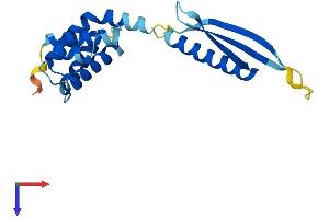 AlphaFold protein structure predicition of Mouse Recombinant Commd1 Protein, UniprotID Q8K4M5