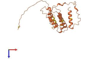 AlphaFold protein structure predicition of Human Recombinant DCAF16 Protein, UniprotID Q9NXF7