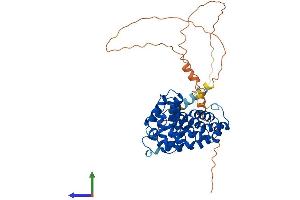 AlphaFold protein structure predicition of Mouse Recombinant Armcx1 Protein, UniprotID Q9CX83