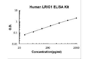 Typical Standard Curve