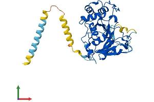 AlphaFold protein structure predicition of Human Recombinant ST3GAL1 Protein, UniprotID Q11201