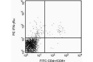 See first image description