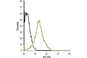Cell surface detection of LTB4R in live intact human promyelocytic leukemia HL-60 cell line: (black line) Unstained HL-60 cells (green line) HL-60 cells + Anti-Human BLT1 (extracellular)- ATTO-488 Antibody (ABIN7043308), (1:20). (Leukotriene B4 Receptor/BLT anticorps  (2nd Extracellular Loop) (Atto 488))
