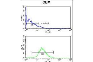 Flow cytometry analysis of CEM cells (bottom histogram) compared to a negative control cell (top histogram).