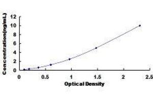 ELISA image for Dual Oxidase 2 (DUOX2) ELISA Kit (ABIN417796)