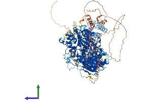 AlphaFold protein structure predicition of Mouse Recombinant Agtpbp1 Protein, UniprotID Q641K1