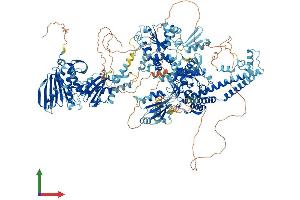 AlphaFold protein structure predicition of Mouse Recombinant Top2a Protein, UniprotID Q01320