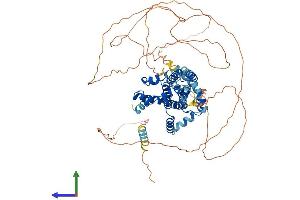 AlphaFold protein structure predicition of Mouse Recombinant Samd4a Protein, UniprotID Q8CBY1