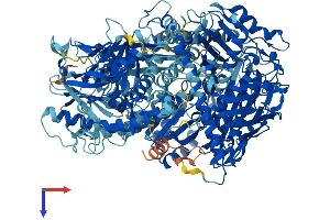 AlphaFold protein structure predicition of Human Recombinant OPLAH Protein, UniprotID O14841