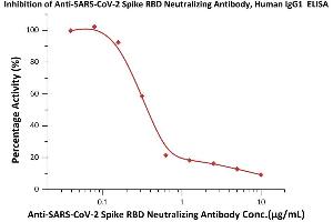 Immobilized Human ACE2, His Tag (ABIN6952641) at 2 μg/mL (100 μL/well) can bind pre-mixed increasing concentrations of Anti-SARS-CoV-2 Neutralizing Antibody, Mouse IgG1 (ABIN6953206) and 0. (SARS-CoV-2 Spike S1 anticorps)