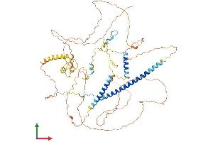 AlphaFold protein structure predicition of Mouse Recombinant Rnf169 Protein, UniprotID E9Q7F2