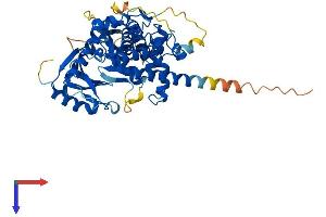 AlphaFold protein structure predicition of Mouse Recombinant Ippk Protein, UniprotID Q6P1C1