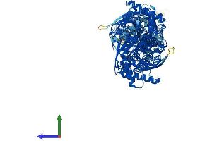 AlphaFold protein structure predicition of Human Recombinant HK2 Protein, UniprotID P52789