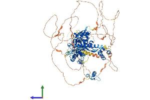 AlphaFold protein structure predicition of Mouse Recombinant Otud7a Protein, UniprotID Q8R554