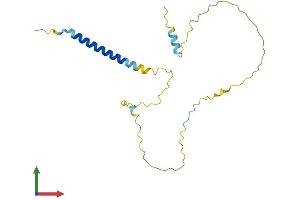AlphaFold protein structure predicition of Human Recombinant TRAT1 Protein, UniprotID Q6PIZ9