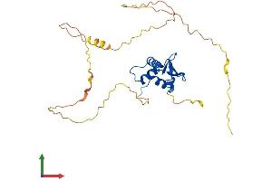 AlphaFold protein structure predicition of Mouse Recombinant Spi1 Protein, UniprotID P17433