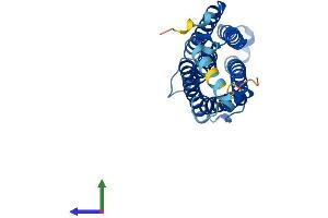 AlphaFold protein structure predicition of Human Recombinant CYB561 Protein, UniprotID P49447