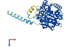 AlphaFold protein structure predicition of Mouse Recombinant Rdh12 Protein, UniprotID Q8BYK4