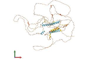 AlphaFold protein structure predicition of Mouse Recombinant Troap Protein, UniprotID B7ZNG4