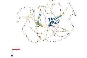 AlphaFold protein structure predicition of Mouse Recombinant Cep68 Protein, UniprotID Q8C0D9
