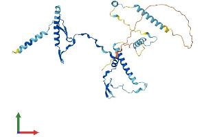 AlphaFold protein structure predicition of Human Recombinant RRS1 Protein, UniprotID Q15050