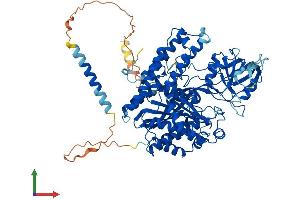AlphaFold protein structure predicition of Mouse Recombinant Tfrc Protein, UniprotID Q62351
