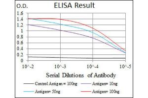 ELISA image for anti-Activated Leukocyte Cell Adhesion Molecule (ALCAM) (AA 48-216) antibody (ABIN1846222) (CD166 anticorps  (AA 48-216))
