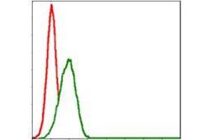 Flow cytometric analysis of HepG2 cells using MBP mouse mAb (green) and negative control (red).
