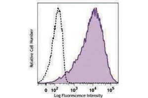 anti-Thiosulfate Sulfurtransferase 5 (SSEA-5) antibody (APC)