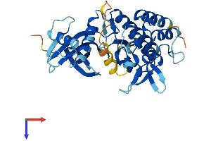 AlphaFold protein structure predicition of Human Recombinant PDIK1L Protein, UniprotID Q8N165