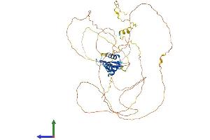 AlphaFold protein structure predicition of Mouse Recombinant Foxo6 Protein, UniprotID Q70KY4