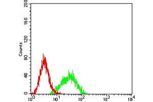 Flow cytometric analysis of K562 cells using ALDOA mouse mAb (green) and negative control (red).